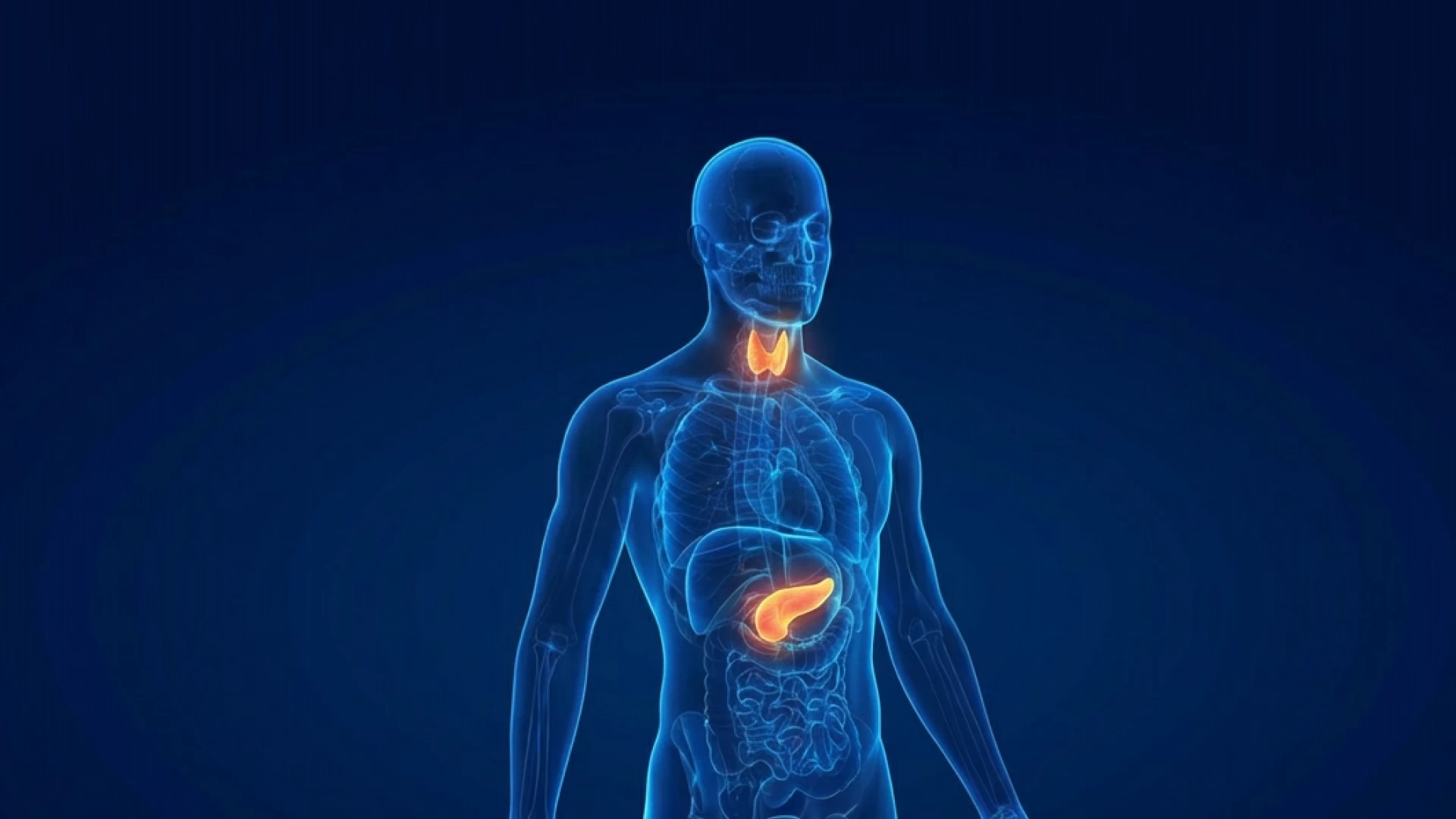 Medica mente. Вопросы из клинической практики. Эндокринология. Выпуск 1 