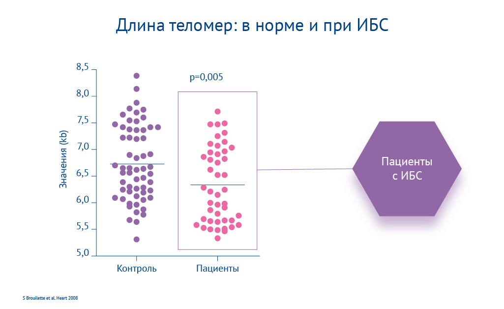 Картинка спецпроектов